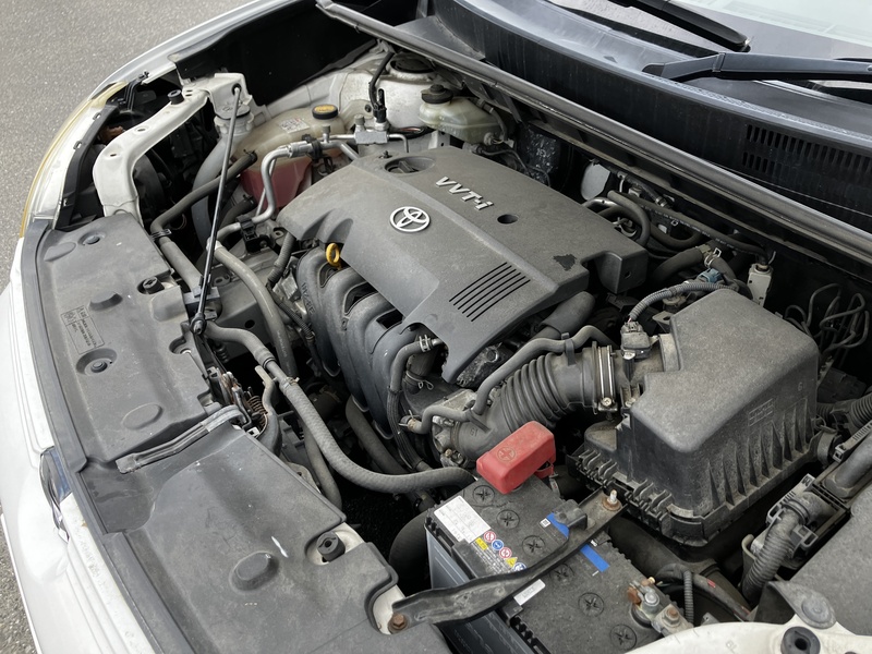 COROLLA RUMION