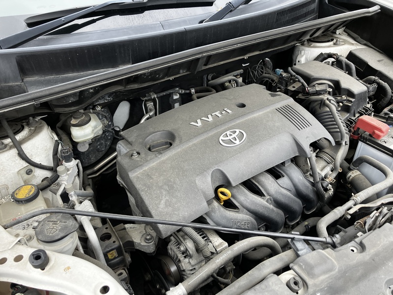 COROLLA RUMION