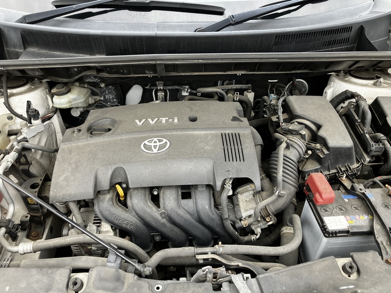 COROLLA RUMION