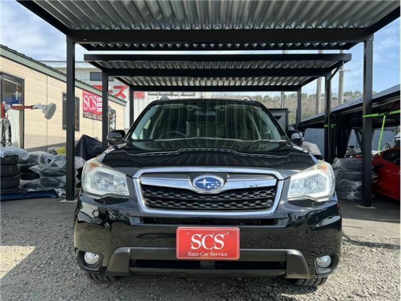 FORESTER-2