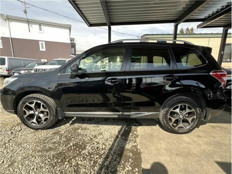 FORESTER-3