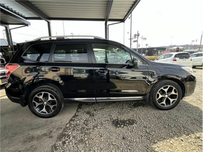 FORESTER-5