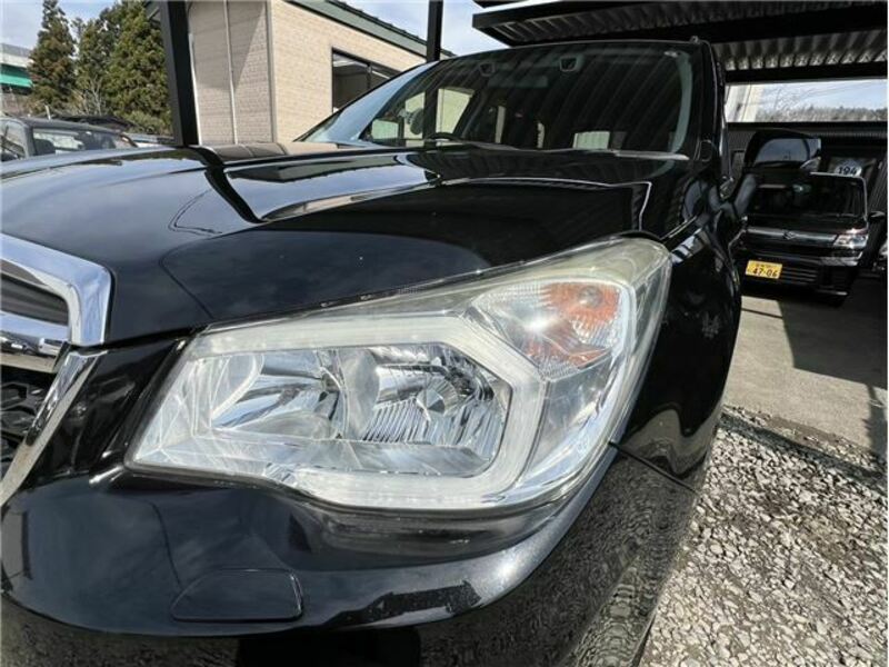FORESTER-7