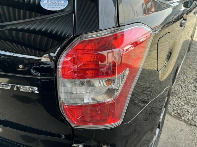 FORESTER-9