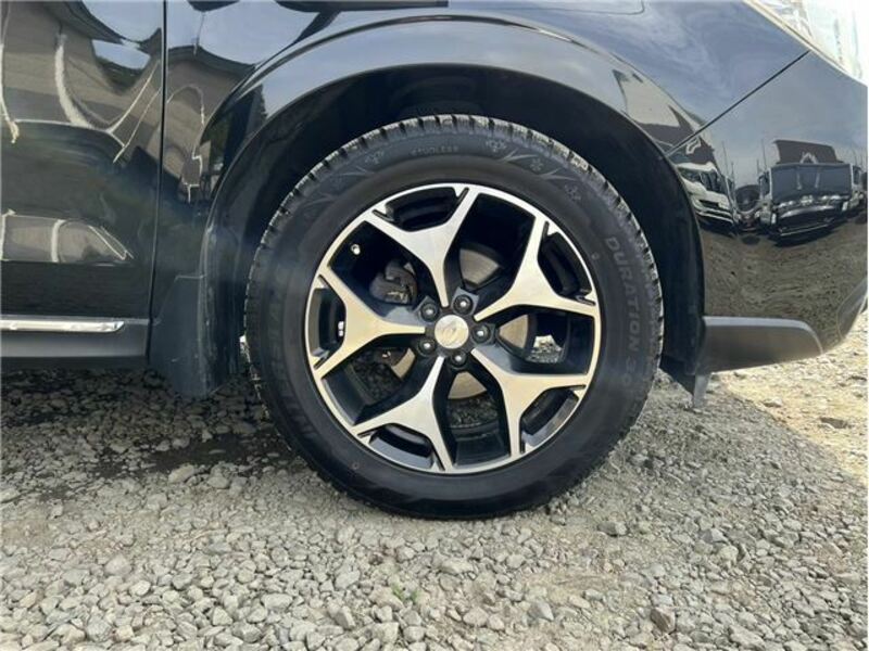 FORESTER-12