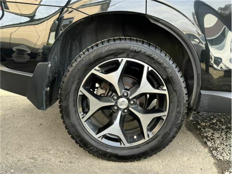 FORESTER-13