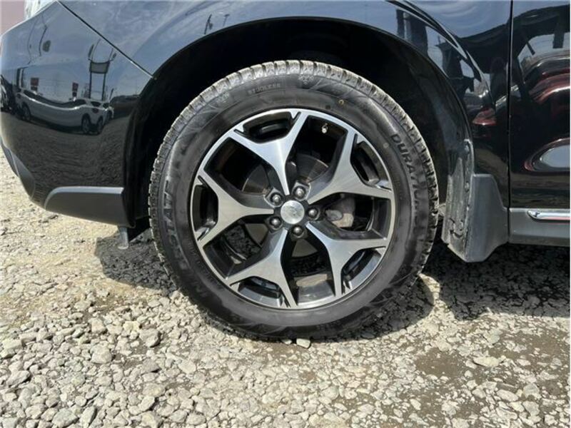 FORESTER-15