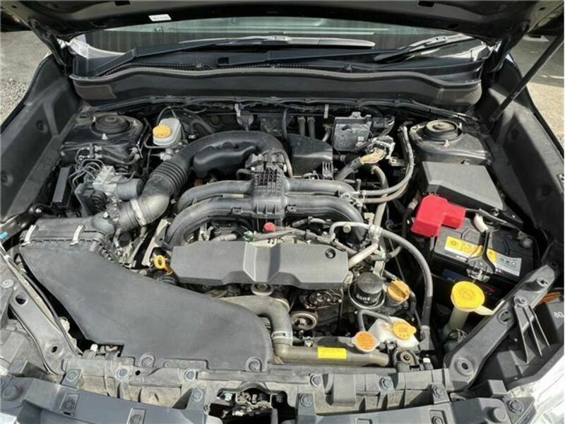 FORESTER-17