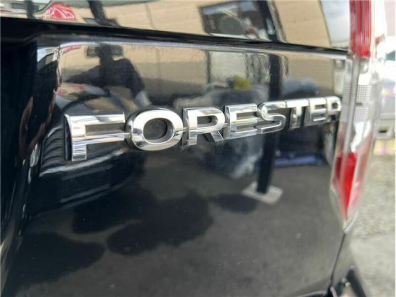 FORESTER-18