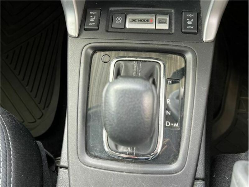 FORESTER-24
