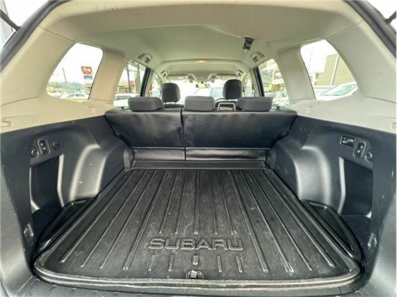 FORESTER-35