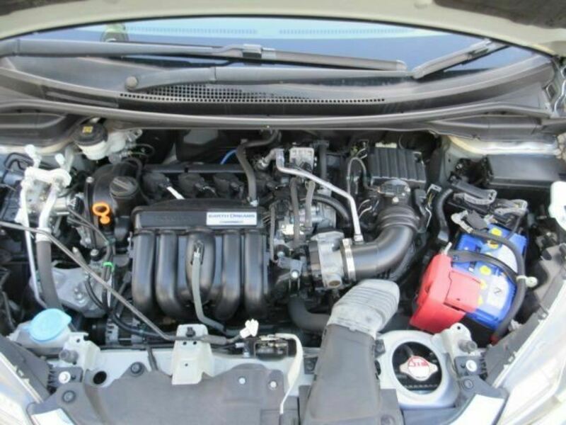 FIT-6