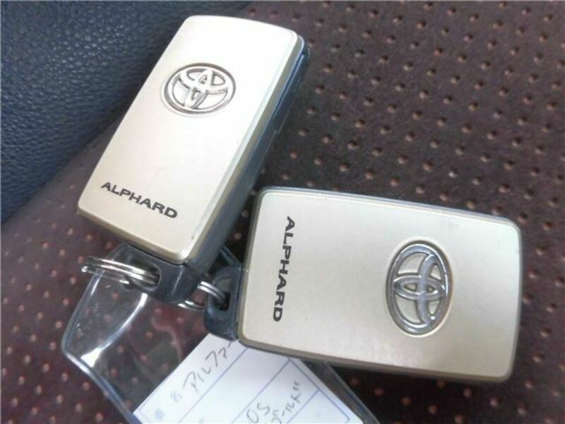 ALPHARD-48