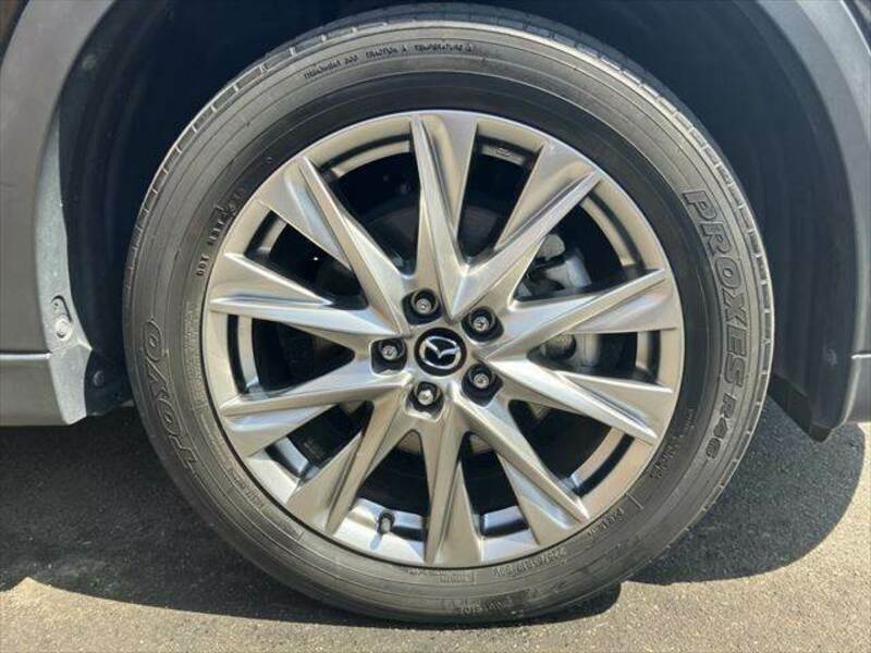 CX-8