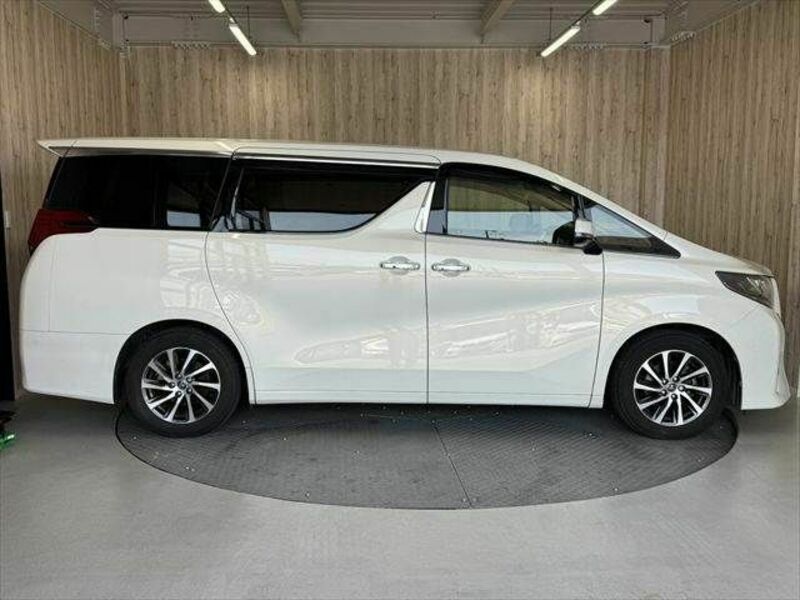 ALPHARD-19