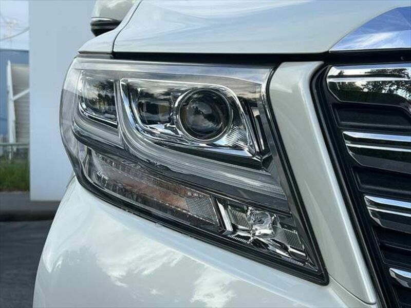ALPHARD-24