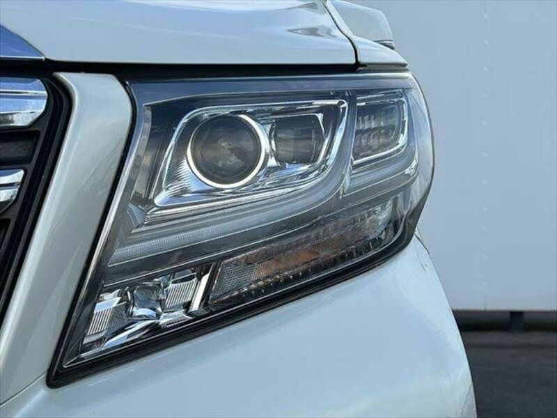 ALPHARD-25