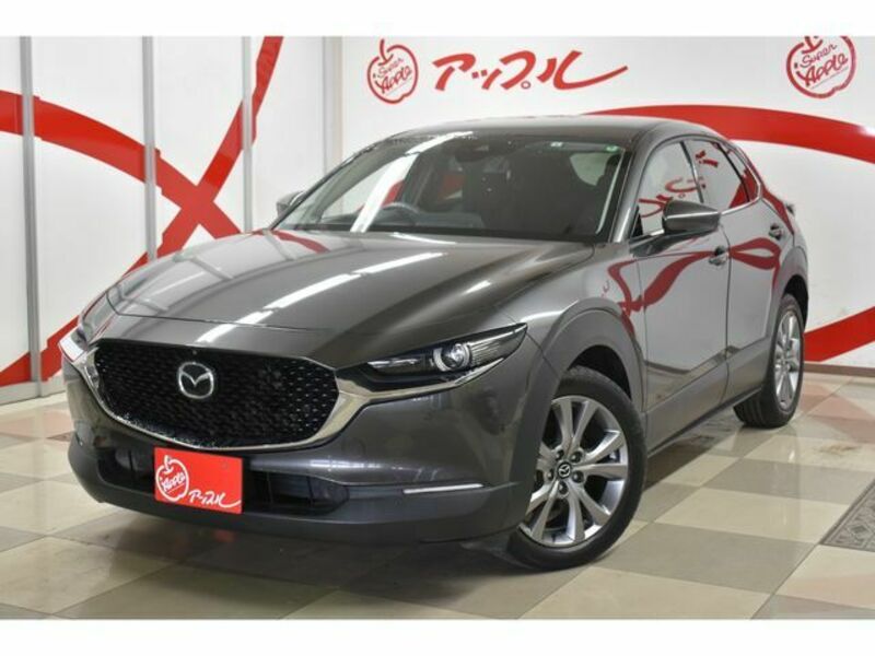 CX-30
