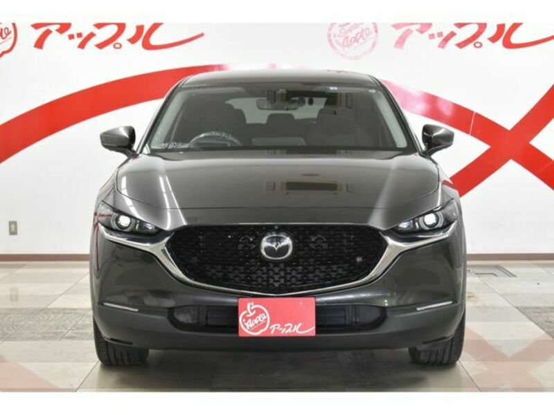 CX-30-1