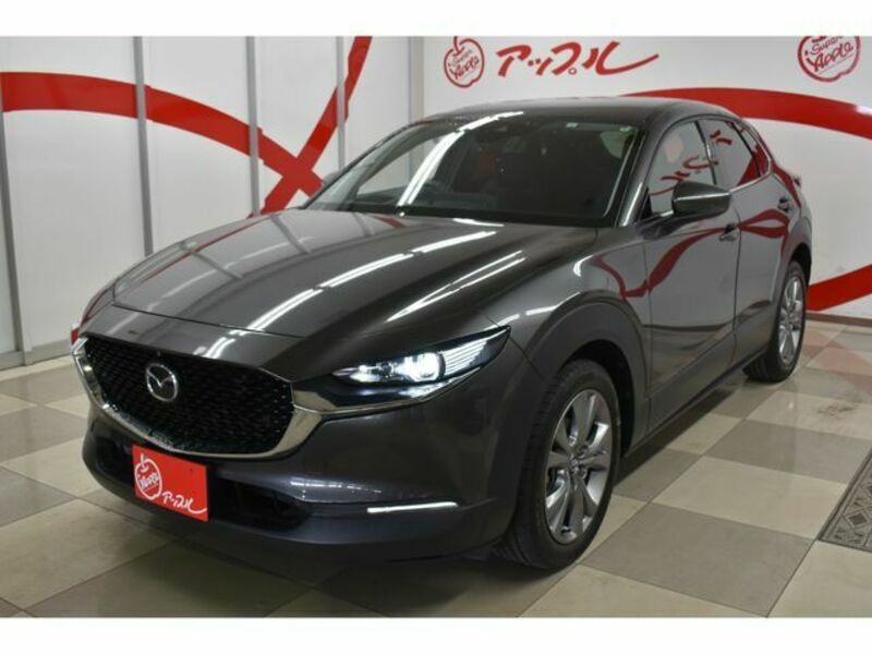 CX-30-2