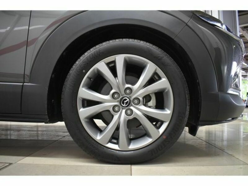 CX-30-3