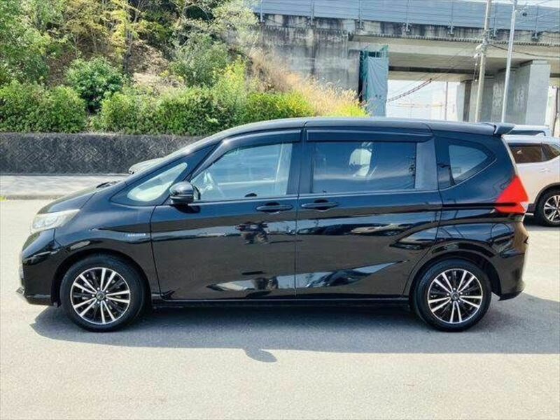 FREED HYBRID