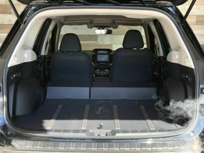 FORESTER-12