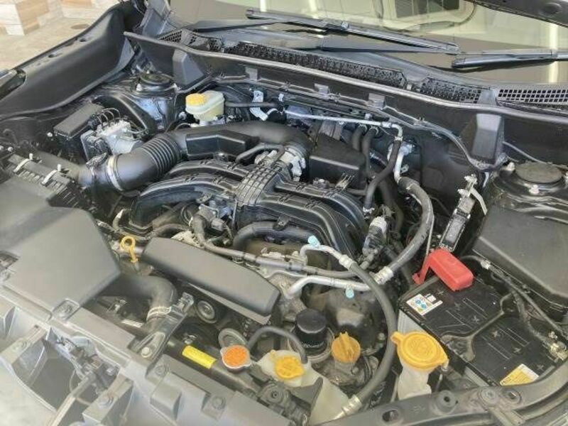FORESTER-17