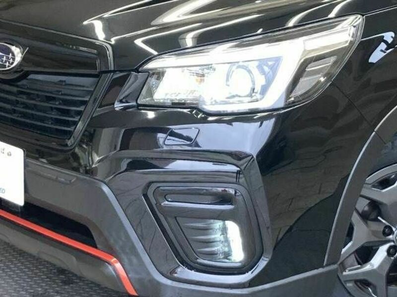 FORESTER-19