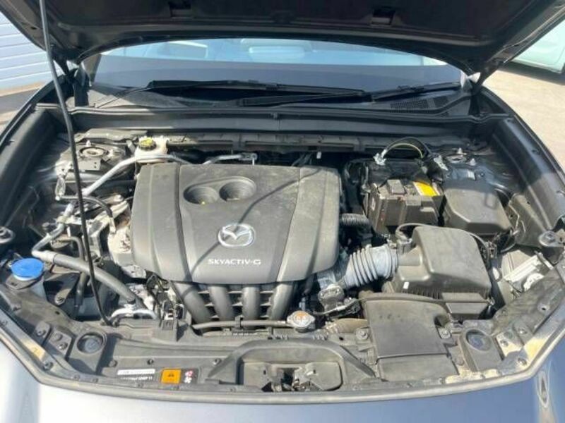 CX-30