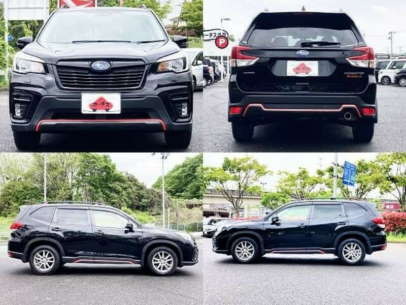 FORESTER
