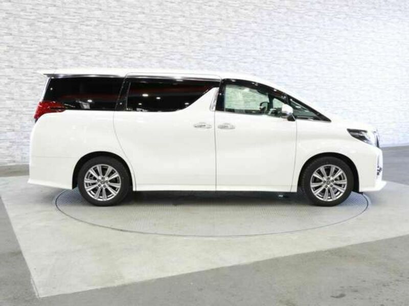 ALPHARD-8
