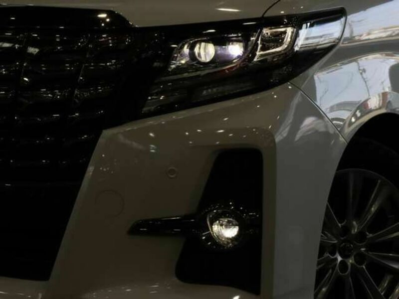 ALPHARD-10
