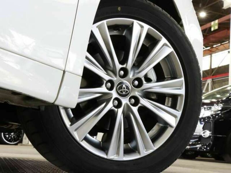 ALPHARD-11