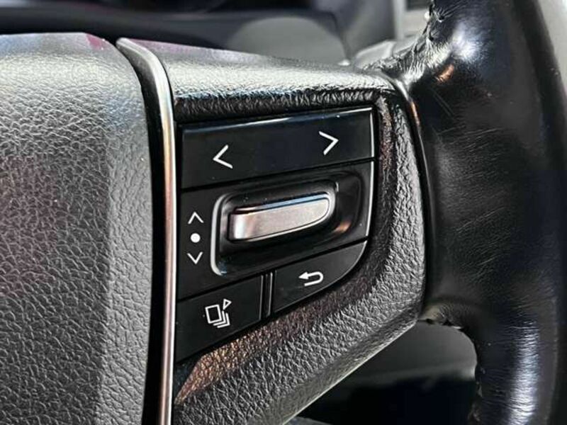 ALPHARD-16
