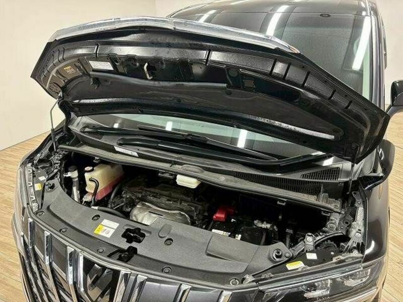 ALPHARD-17
