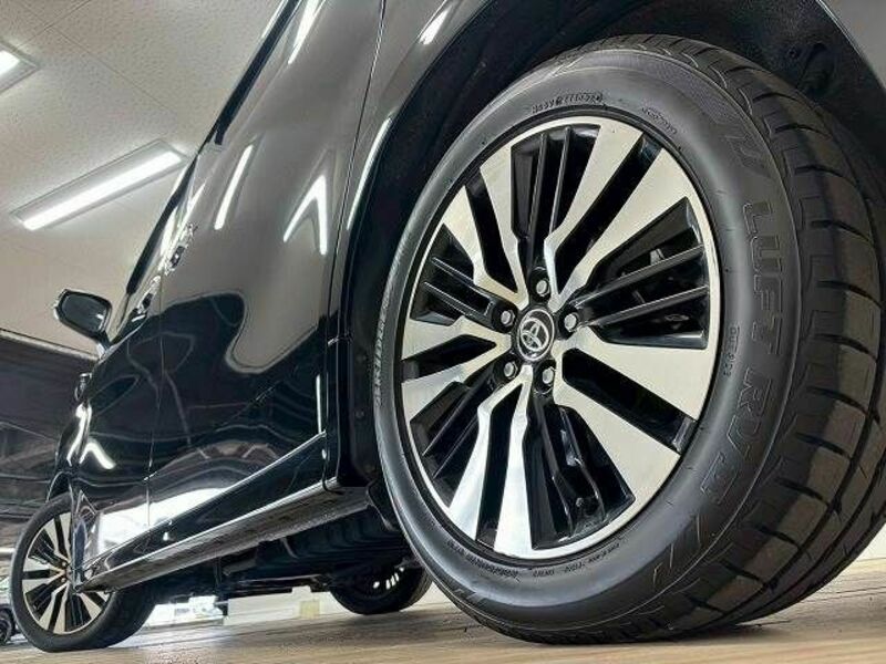 ALPHARD-18