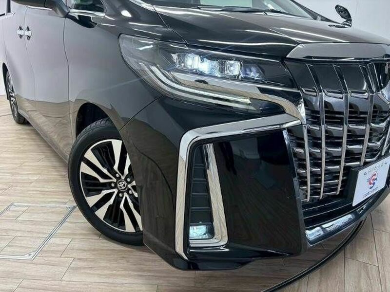ALPHARD-19