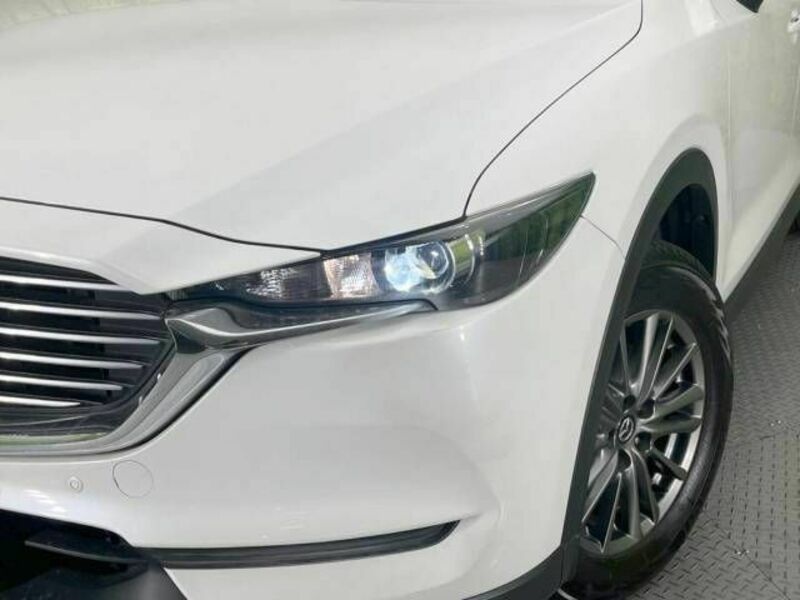 CX-8