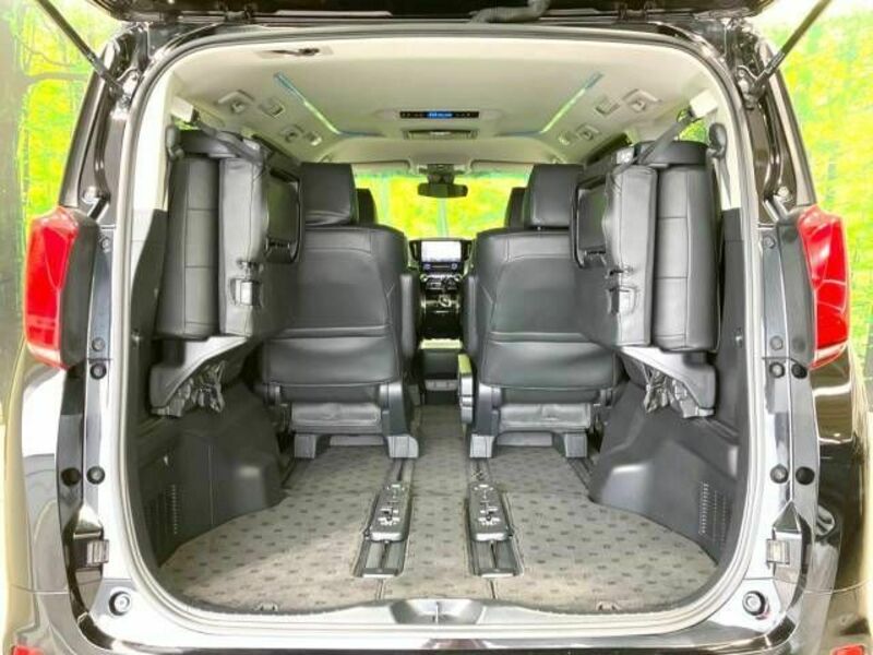 ALPHARD-10
