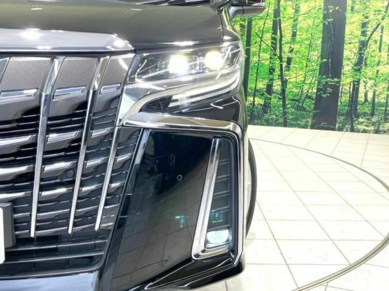 ALPHARD-12