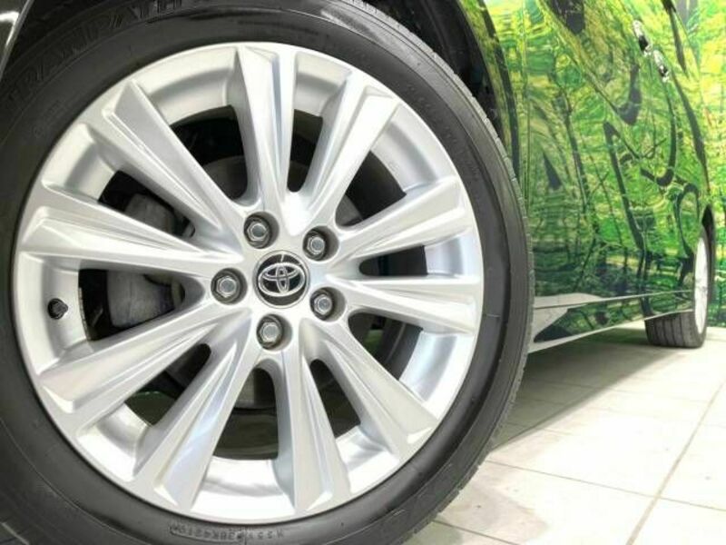 ALPHARD-13