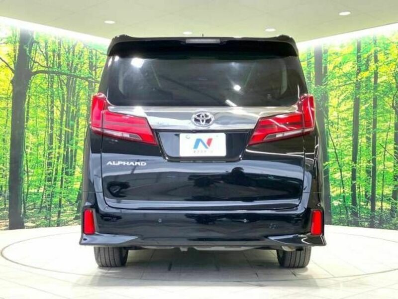 ALPHARD-15
