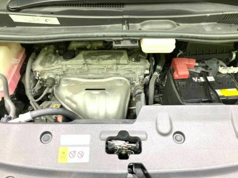 ALPHARD-18