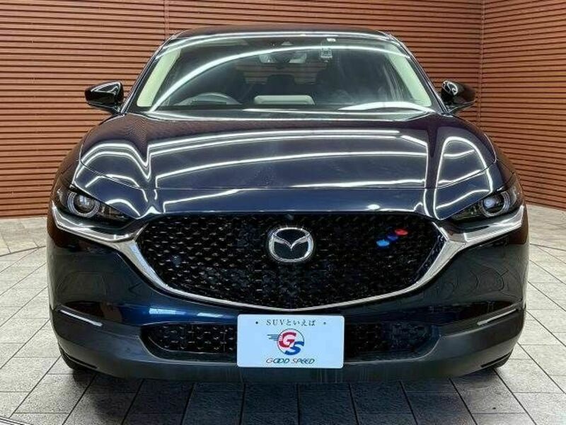 CX-30