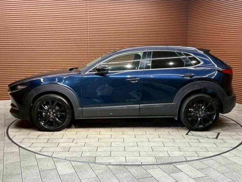 CX-30