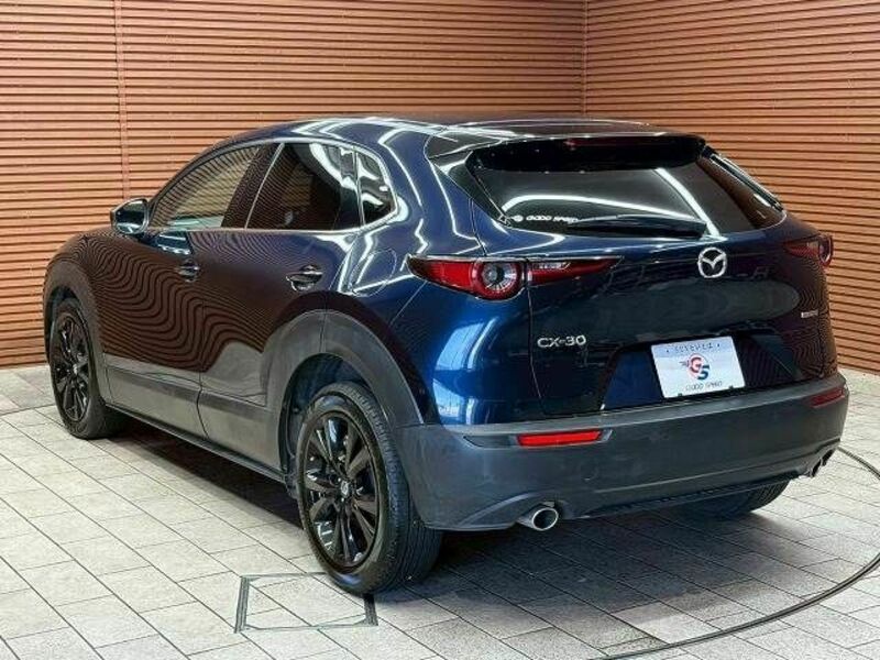 CX-30