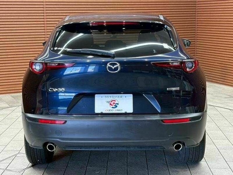 CX-30