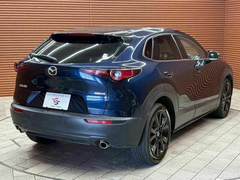 CX-30