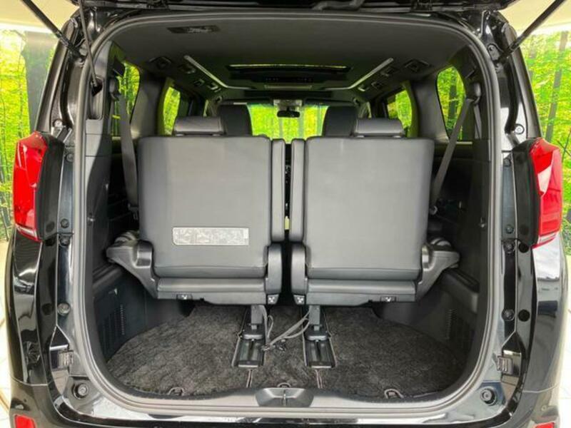 ALPHARD-10